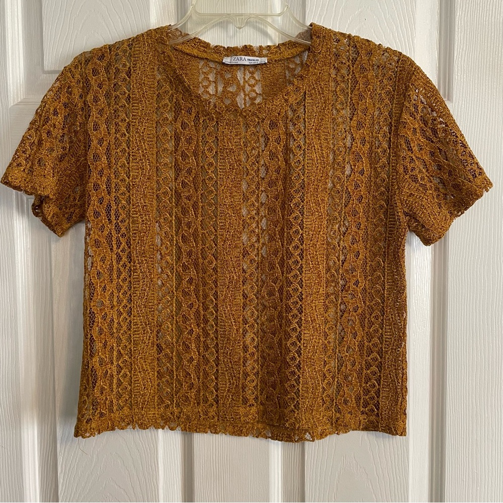 Zara Velvet lace crop top